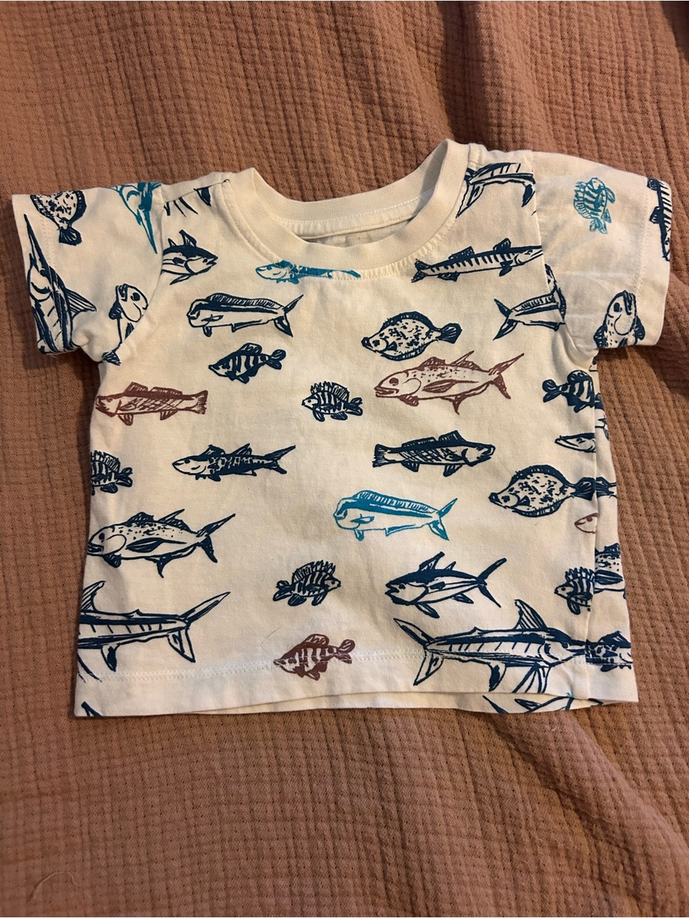 Organic Cotton Baby Shirt